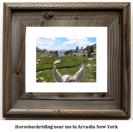 horseback riding near me in Arcadia, New York